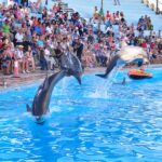 WhatsApp Image 2026-02-10 at 5.39.31 PM (2)