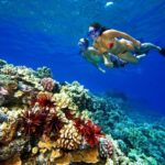 WhatsApp Image 2026-02-10 at 5.21.43 PM (1)