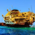 WhatsApp Image 2026-02-10 at 5.22.20 PM (2)