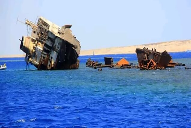 Tiran Island Cruise by Yacht ⛵🌊