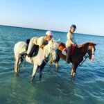 WhatsApp Image 2026-02-10 at 5.23.47 PM (1)