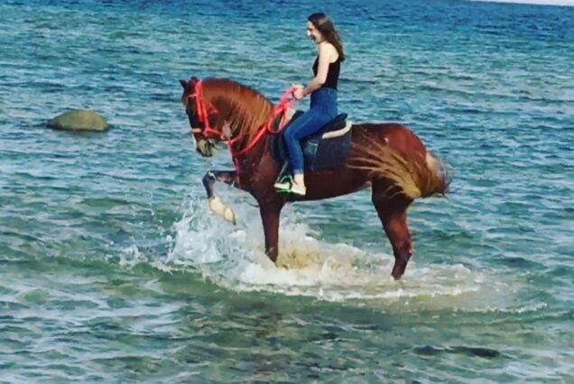 Horseback Riding at Nabq Reserve 🐎🌊