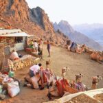 WhatsApp Image 2026-02-10 at 5.29.56 PM (1)