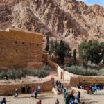 WhatsApp Image 2026-02-10 at 5.29.57 PM (1)