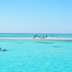 WhatsApp Image 2026-02-10 at 4.59.52 PM (1)