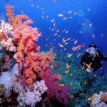 WhatsApp Image 2026-02-10 at 5.03.35 PM