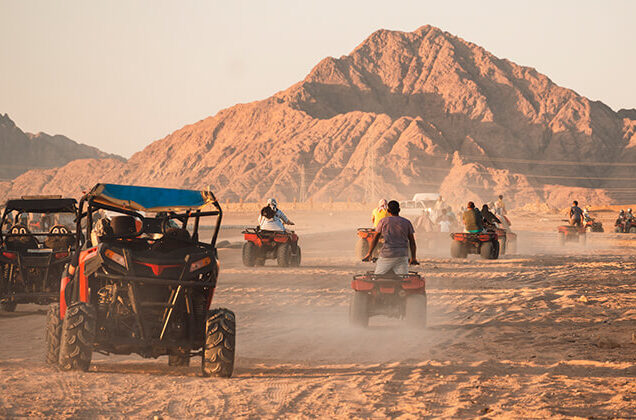 safari 2:00 pm to 5:00pm