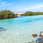 WhatsApp Image 2026-02-10 at 5.08.01 PM (1)