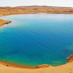 WhatsApp Image 2026-02-10 at 5.08.01 PM (2)